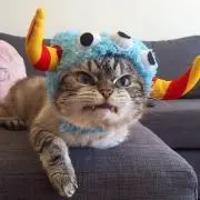 ☆ぺち