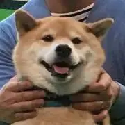Image of たっつぁん