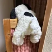 くるみの画像