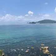 ももちの画像