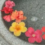リナリナ★