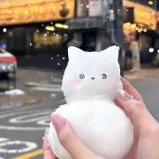 ますちの画像