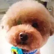 leonmamaの画像