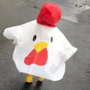 hiroの画像