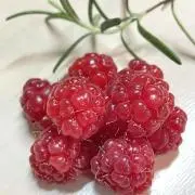 ラズベリーの画像