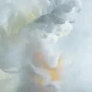 星