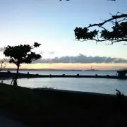 misayu