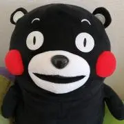 きーちゃん(´⊙ω⊙`)の画像