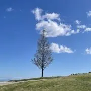 marihiroの画像