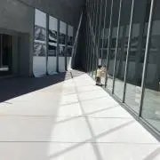 とんの画像