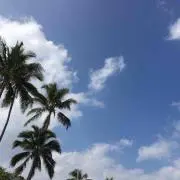 うさぎの画像
