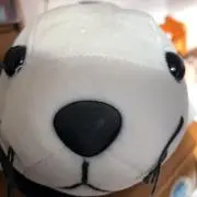 あざけんの画像