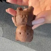 neko※プロフ必須！！の画像