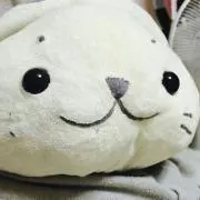 まめこ