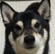 Kano