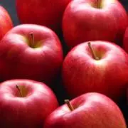Appleの画像