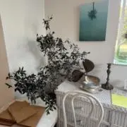あみの画像