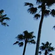 まるの画像