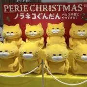さぼてんの画像
