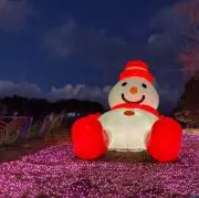 マコピーの画像