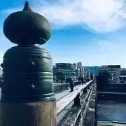 Tの画像