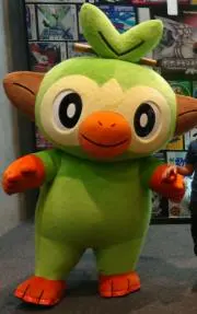 モコちゃんの画像