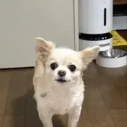 ときの画像