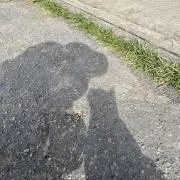 みじゅ