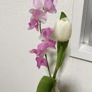 K