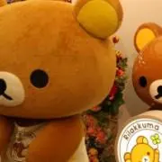 うしこ