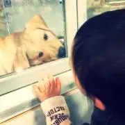天使の卵