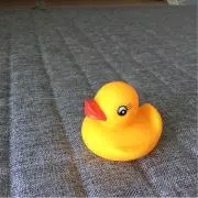 キノコ