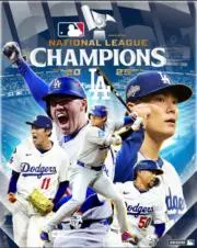 大谷翔平の画像