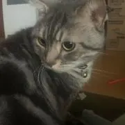 れおれおの画像
