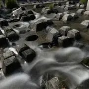いくらの画像