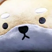 ナイルの画像