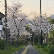 みー