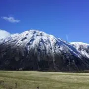 Mickの画像