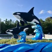 ムートンの画像