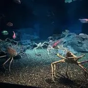 3Aの画像