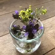 ダイスキー