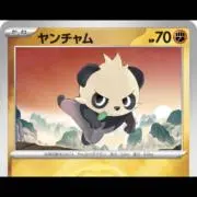 やんちゃん