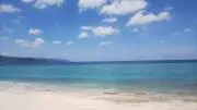 RN88の画像
