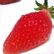チーズの画像