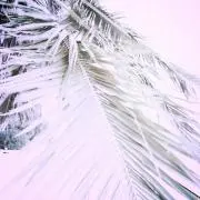 chel__miの画像