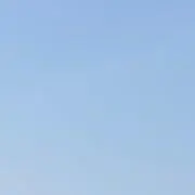 まの画像