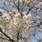 M M