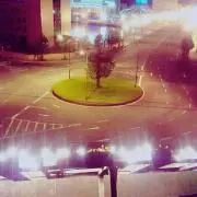 ノワの画像