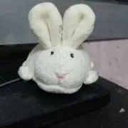 ミンホ