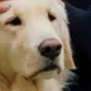 トッポギ